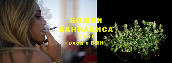 гашик Новодвинск