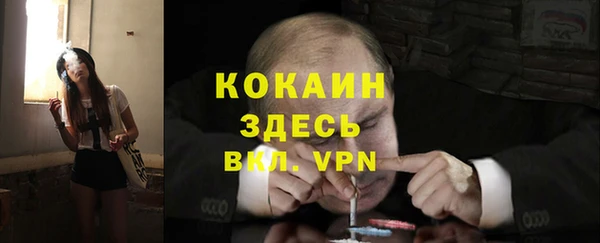 2c-b Новозыбков