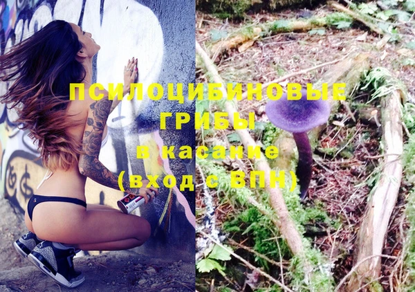 2c-b Новозыбков