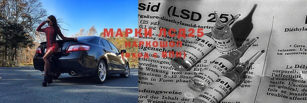 МДПВ Новокубанск