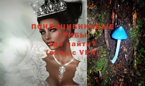 МДПВ Новокубанск