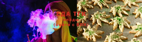 гашик Новодвинск