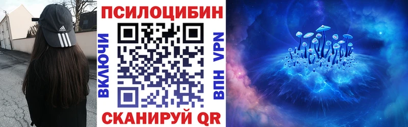 Псилоцибиновые грибы MAGIC MUSHROOMS  Купить закладки  Алейск 